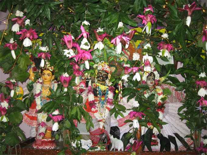 IMG_4474