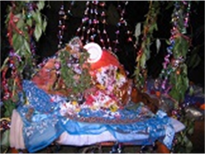 jhulan-yatra-2014