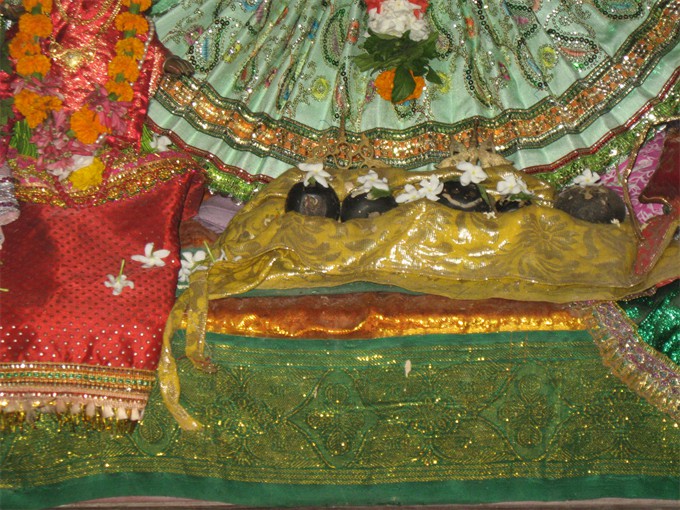 Khantapara 03_2012 164